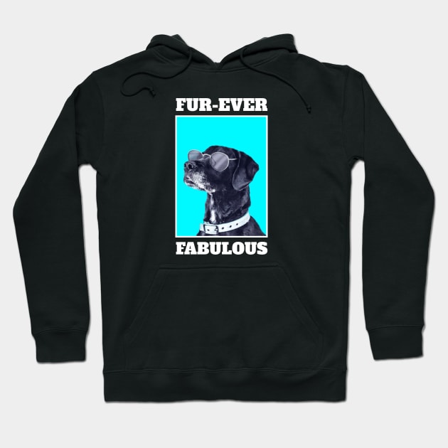 Fur-Ever Fabulous Hoodie by OnePresnt
